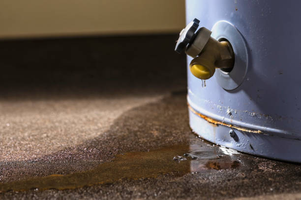 Best Water damage cleanup near me  in North Gates, NY
