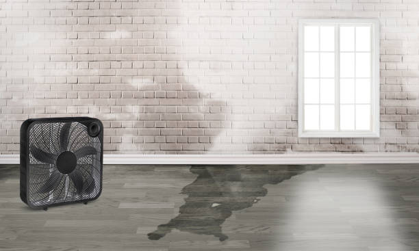 Best Ceiling water damage repair  in North Gates, NY
