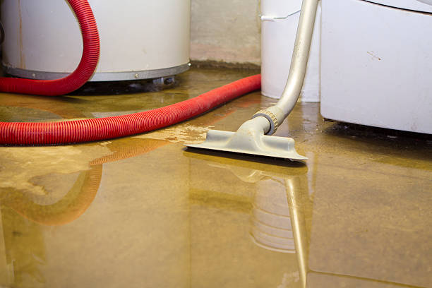  North Gates, NY Water damage restoration Pros