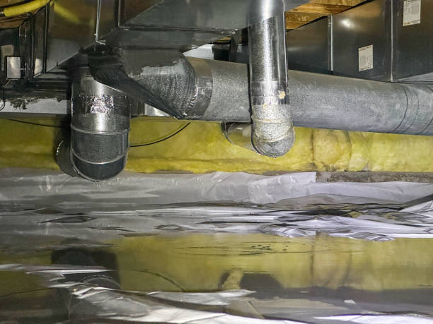 Best Professional water damage repair  in North Gates, NY