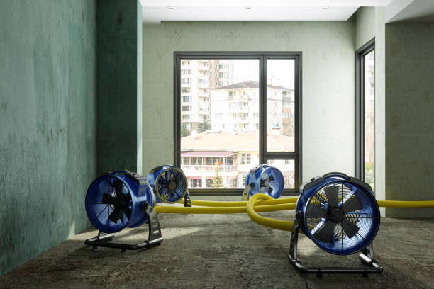 Best 24-hour water damage restoration  in North Gates, NY